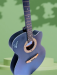 Signature Acoustic Guitar